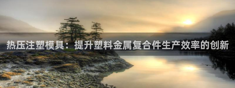 易倍纤酵素效果好吗：热压注塑模具：提升塑料金属复合件生产