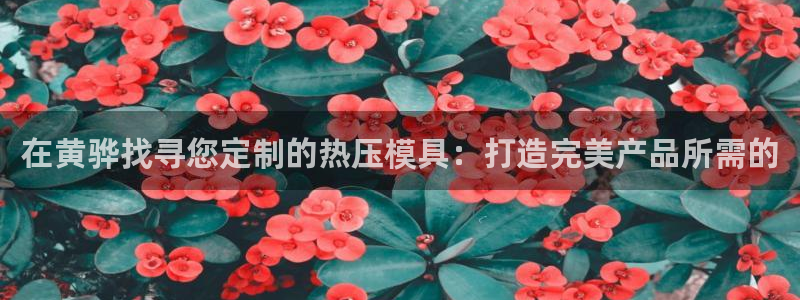 emc参数：在黄骅找寻您定制的热压模具：打造完美产品所需