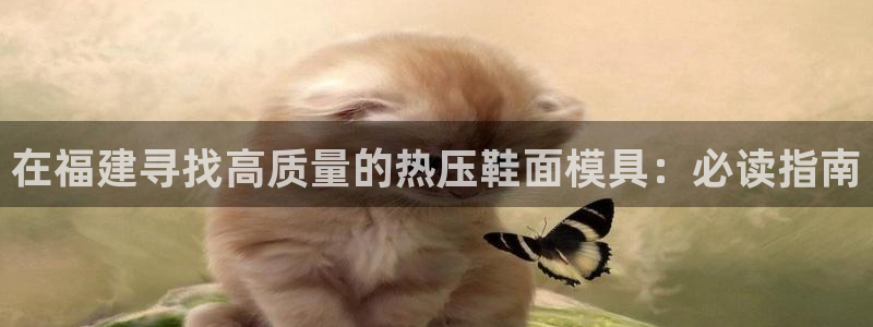 易倍达科技有限公司代运营：在福建寻找高质量的热压鞋面模具