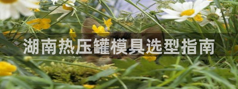 emc32软件安装