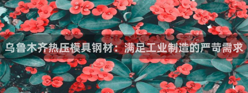 易倍申不良反应