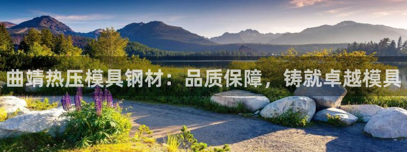 易倍达科技有限公司怎么样