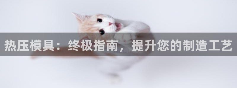 emc倍频干扰怎么解决：热压模具：终极指南，提升您的制造