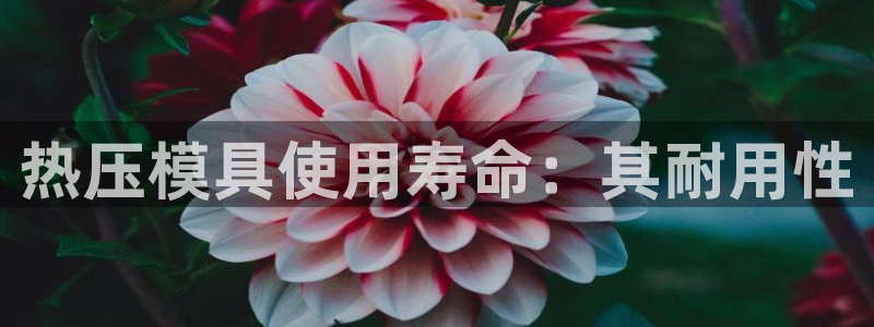易倍申片的功效与作用