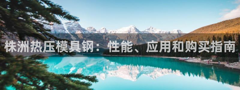 易倍单词官方网站的