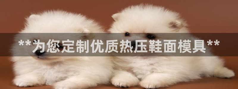 emc全站易倍