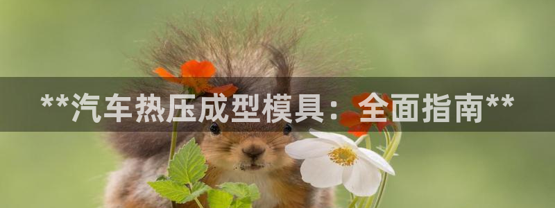易倍企业管理软件怎么样：**汽车热压成型模具：全面指南*