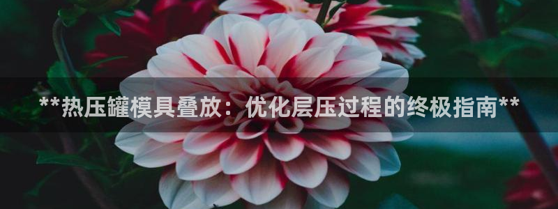 emc易倍官网登录首页：**热压罐模具叠放：优化层压过程