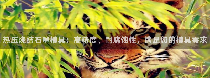 emc易倍官网