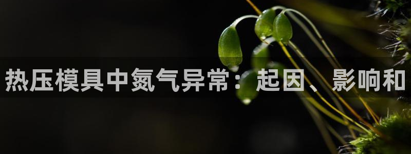 emc易倍官方平：热压模具中氮气异常：起因、影响和