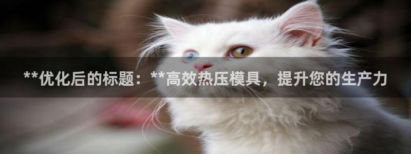 易倍网络技术有限公司是干嘛的：**优化后的标题：**高效