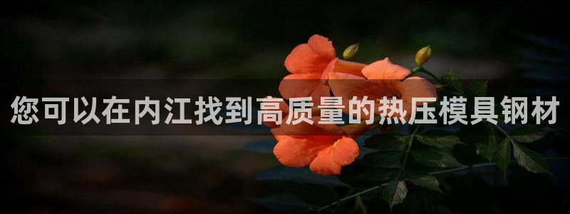 emc易倍怎么样：您可以在内江找到高质量的热压模具钢材