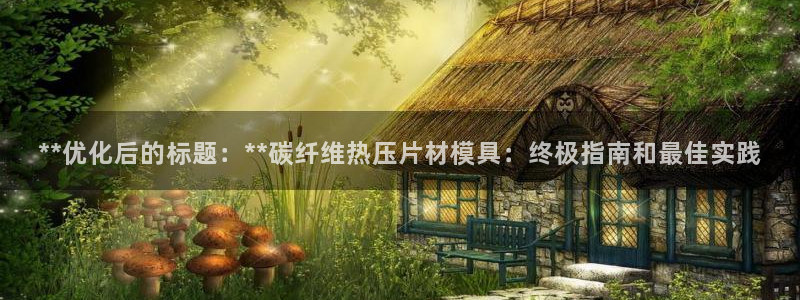 emc低频不过：**优化后的标题：**碳纤维热压片材模具