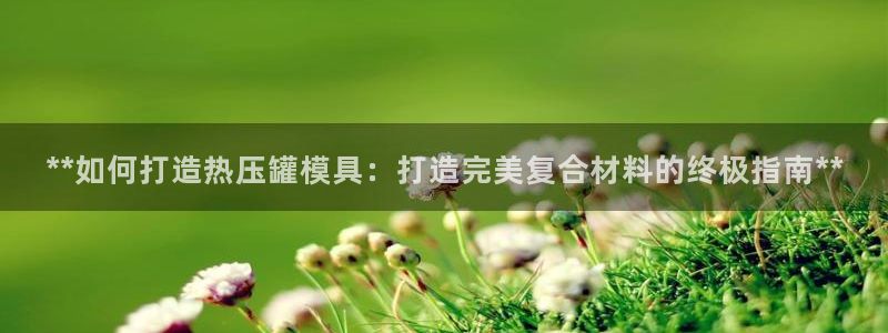 易倍达怎么样：**如何打造热压罐模具：打造完美复合材料的