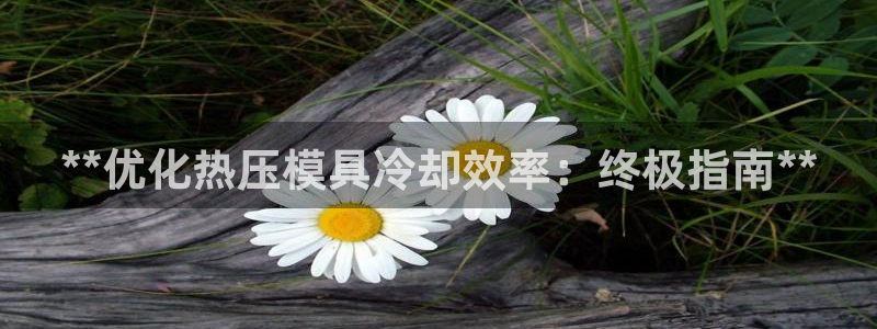 emc易倍是黑台子吗：**优化热压模具冷却效率：终极指南