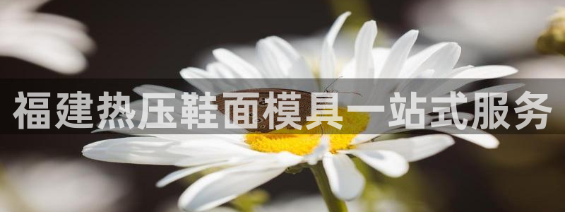 emc易倍官网登录首页
