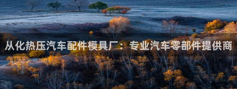 易倍申的包装规格