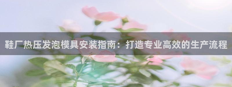 易倍单词官方网站的：鞋厂热压发泡模具安装指南：打造专业高