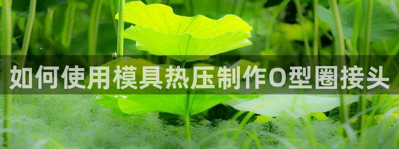 emc参数