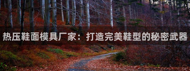 北京易倍思教育怎么样