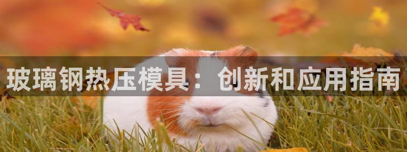 易倍app网站