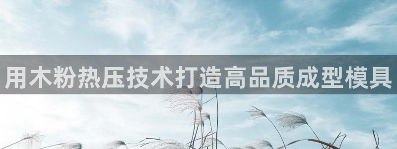 易倍单词官方网站下载安卓