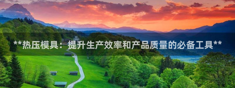易倍纤使用方法：**热压模具：提升生产效率和产品质量的必