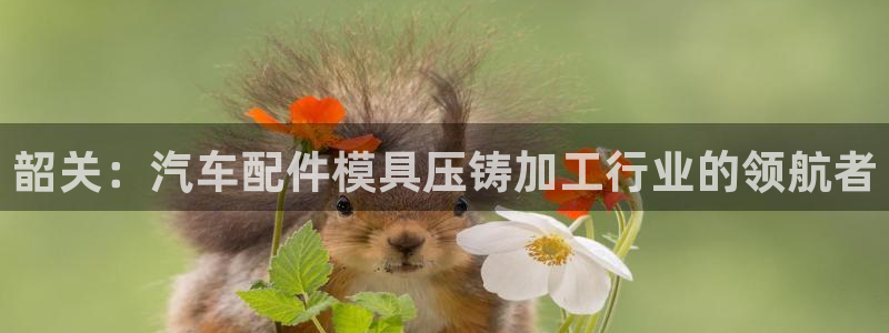 易倍纤代餐奶昔减肥效果怎么样