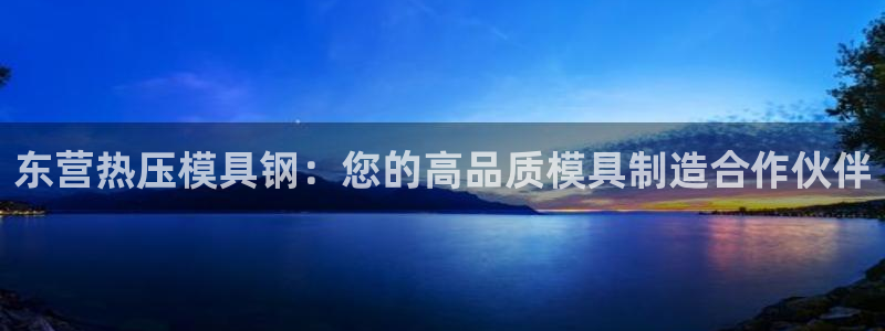 易倍纤代餐粉能减肥吗：东营热压模具钢：您的高品质模具制造
