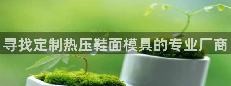 易倍网页版登录：寻找定制热压鞋面模具的专业厂商