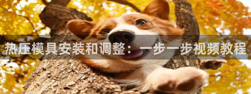 易倍达科技有限公司招聘