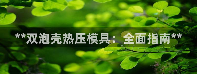 易倍单词官方网站
