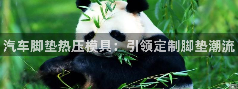 易倍单词官方网站下载：汽车脚垫热压模具：引领定制脚垫潮流