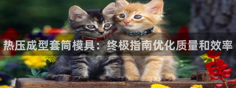 易倍全站下载：热压成型套筒模具：终极指南优化质量和效率