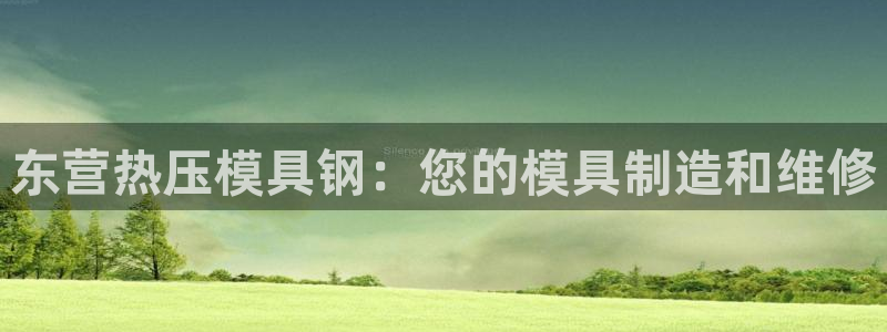 易倍申竞品：东营热压模具钢：您的模具制造和维修