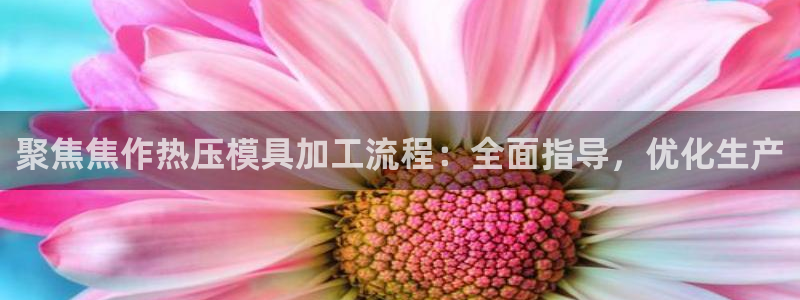 易倍纤代餐粉能减肥吗：聚焦焦作热压模具加工流程：全面指导