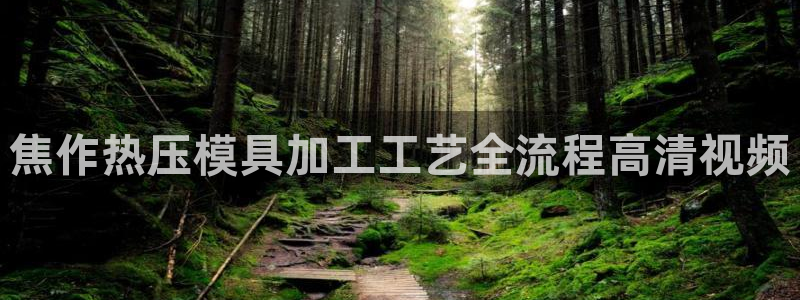 易倍单词软件
