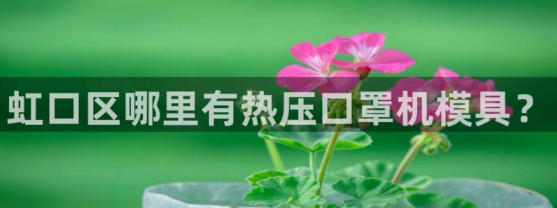 emc易倍的服务优势