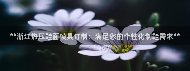 emc全站网页版：**浙江热压鞋面模具订制：满足您的个性