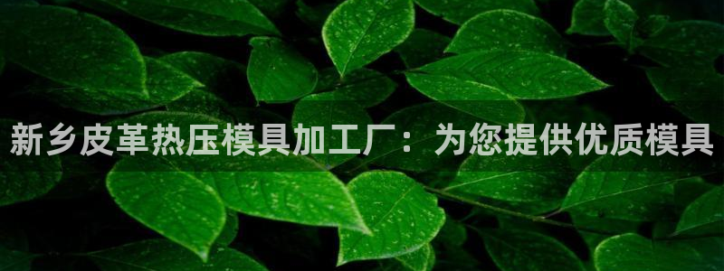 emcapp下载普通下载