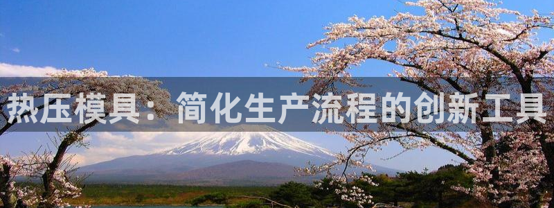 易倍单词app