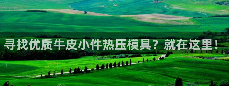 emc易倍账号异常：寻找优质牛皮小件热压模具？就在这里！