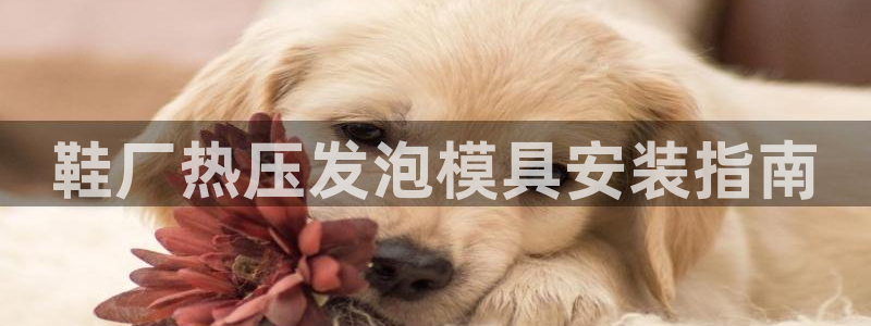 emc易倍的服务优势