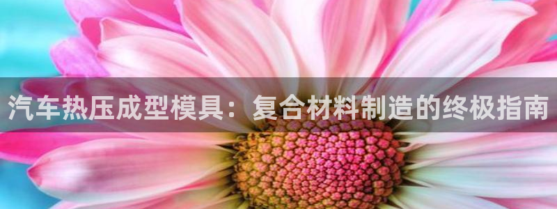 emc低频不过：汽车热压成型模具：复合材料制造的终极指南