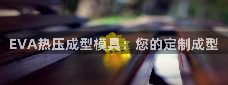emc易倍官网首页进入：EVA热压成型模具：您的定制成型