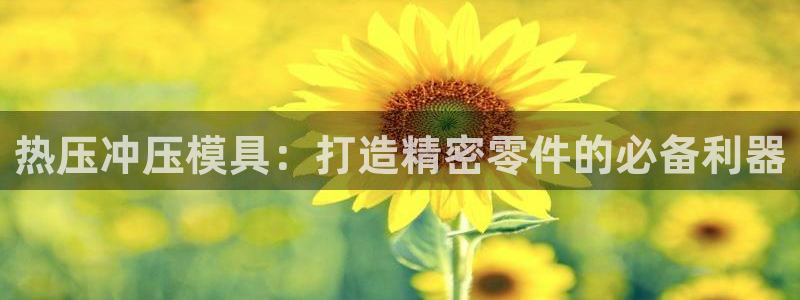易倍下载手机版