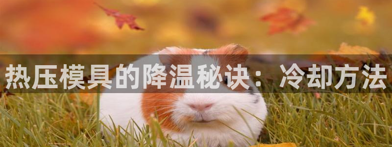 EMC易倍官网招聘：热压模具的降温秘诀：冷却方法