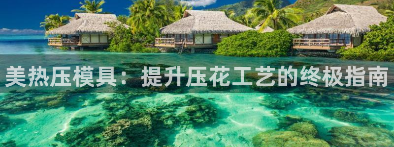 易倍单词官方网站登录