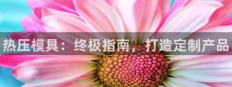 emc易倍官网app下载：热压模具：终极指南，打造定制产