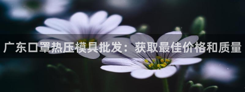 emc全站ag：广东口罩热压模具批发：获取最佳价格和质量